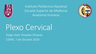 Plexo Cervical
Diego Alain Posadas Olivares
CDMX, 7 de Octubre 2016
Instituto Politécnico Nacional
Escuela Superior de Medicina
Anatomía Humana
 