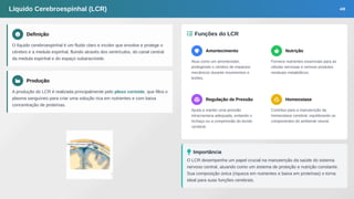 Plexo Corioide Mesencéfalo e Líquido Cerebroespinhal.pdf