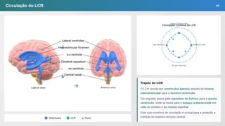 Plexo Corioide Mesencéfalo e Líquido Cerebroespinhal.pdf