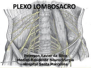 Peterson Xavier da Silva
Medico Residente Neurocirurgia
Hospital Santa Marcelina
 