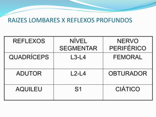 RAIZES LOMBARES X REFLEXOS PROFUNDOS
REFLEXOS NÍVEL
SEGMENTAR
NERVO
PERIFÉRICO
QUADRÍCEPS L3-L4 FEMORAL
ADUTOR L2-L4 OBTURADOR
AQUILEU S1 CIÁTICO
 