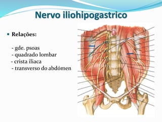 Nervo iliohipogastrico
 Relações:
- gde. psoas
- quadrado lombar
- crista iliaca
- transverso do abdómen
 