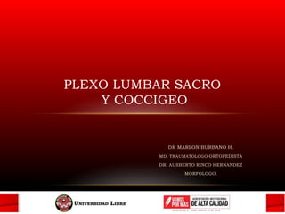 DR MARLON BURBANO H.
MD. TRAUMATOLOGO ORTOPEDISTA
DR. AUSBERTO RINCO HERNANDEZ
MORFOLOGO.
PLEXO LUMBAR SACRO
Y COCCIGEO
 