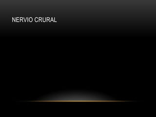 NERVIO CRURAL
 