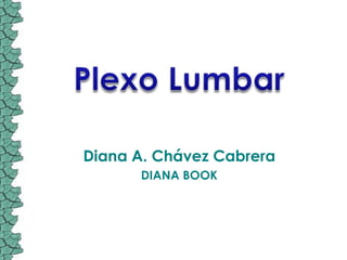 Plexo Lumbar Diana A. Chávez Cabrera DIANA BOOK 