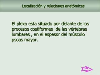 El plexo esta situado por delante de los procesos costiformes  de las vértebras lumbares , en el espesor del músculo psoas mayor. Localización y relaciones anatómicas 
