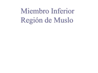 Miembro Inferior
Región de Muslo
 