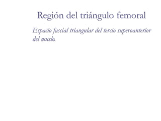 Región del triángulo femoral
Espacio fascial triangular del tercio superoanterior
del muslo.
 