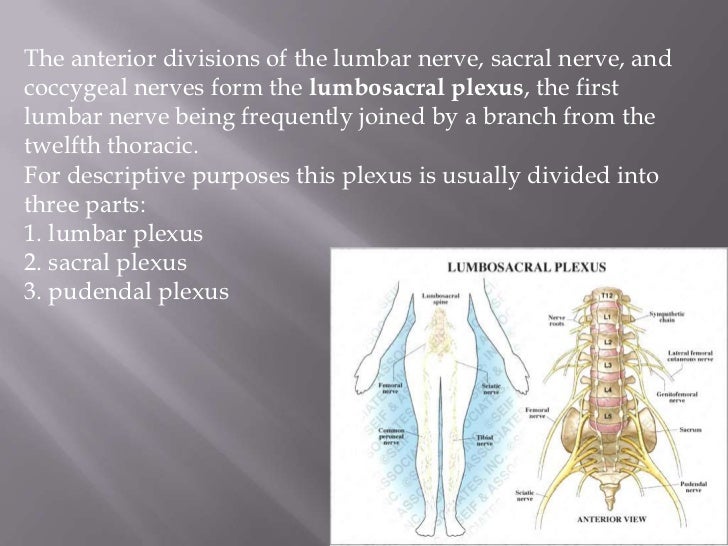 Diabetic Lumbosacral Plexopathy Treatment – VMUS