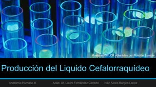 Producción del Liquido Cefalorraquídeo
Anatomía Humana II Acád. Dr. Lauro Fernández Cañedo Iván Alexis Burgos López
Muestras de LCR obtenidas por Punción Lumbar
 