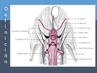 D
e
f
i
n
i
c
i
ó
n