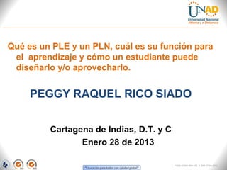 Qué es un PLE y un PLN, cuál es su función para
 el aprendizaje y cómo un estudiante puede
 diseñarlo y/o aprovecharlo.


     PEGGY RAQUEL RICO SIADO


         Cartagena de Indias, D.T. y C
                Enero 28 de 2013

                                         FI-GQ-GCMU-004-015 V. 000-27-08-2011
 