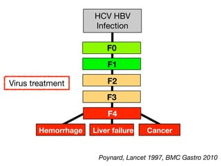 F4
F1
F0
HCV HBV
Infection
F2
F3
Hemorrhage Liver failure Cancer
Poynard, Lancet 1997, BMC Gastro 2010
Virus treatment
 