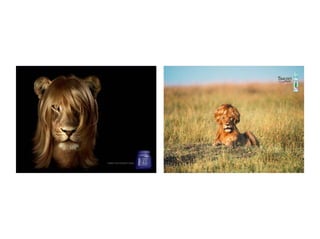 Plágio: A Linha tênue entre a cópia e a referência