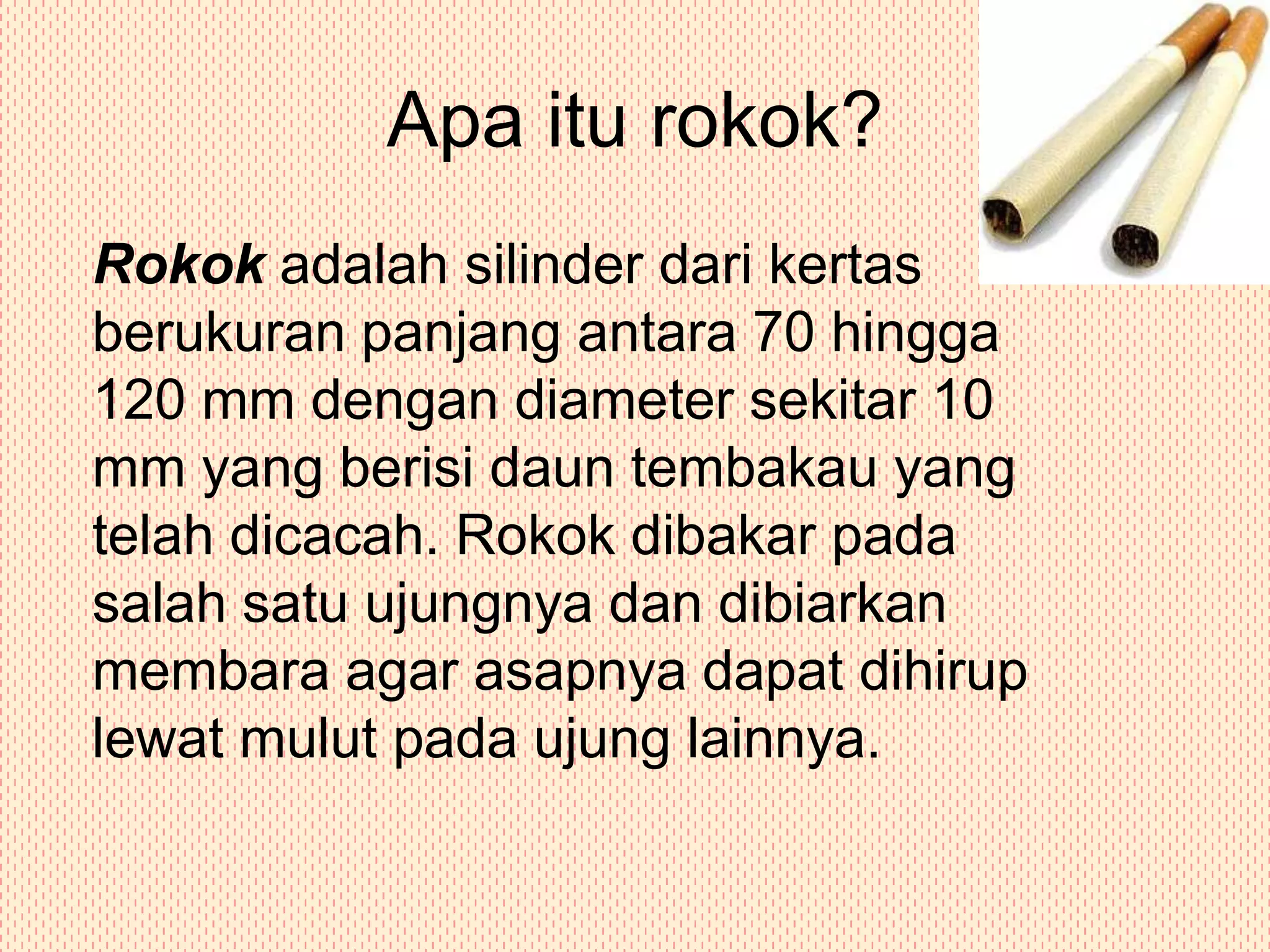 Apa itu rokok?	Rokok adalah silinder dari kertas berukuran panjang antara 70 hingga 120 mm dengan diameter sekitar 10 mm yang berisi daun tembakau yang telah dicacah. Rokok dibakar pada salah satu ujungnya dan dibiarkan membara agar asapnya dapat dihirup lewat mulut pada ujung lainnya. 