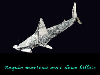 Requin marteau avec deux billets
 