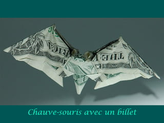 Chauve-souris avec un billet
 