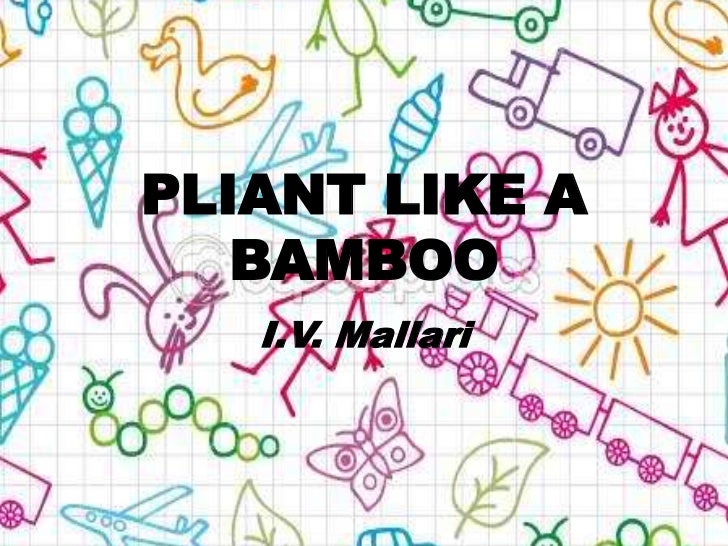 Bamboo
