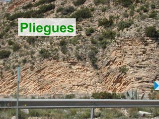 Pliegues 