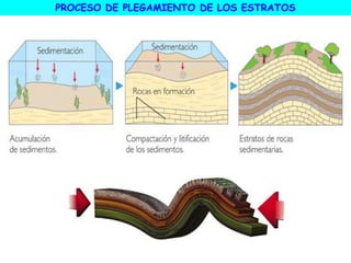 PROCESO DE PLEGAMIENTO DE LOS ESTRATOS
 