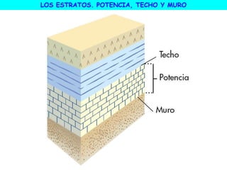 LOS ESTRATOS. POTENCIA, TECHO Y MURO
 