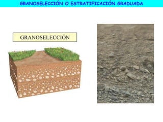 GRANOSELECCIÓN O ESTRATIFICACIÓN GRADUADA
 