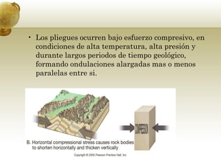 • Los pliegues ocurren bajo esfuerzo compresivo, en
condiciones de alta temperatura, alta presión y
durante largos periodos de tiempo geológico,
formando ondulaciones alargadas mas o menos
paralelas entre si.
 
