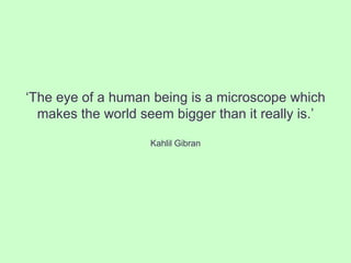 ‘The eye of a human being is a microscope which
  makes the world seem bigger than it really is.’

                    Kahlil Gibran
 