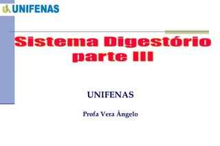 UNIFENAS Profa Vera Ângelo 