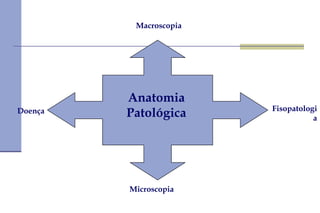 Macroscopia Microscopia Anatomia Patológica Doença Fisopatologia 