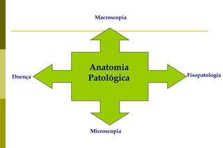 Tipos histológicos (Classificação de Láuren):tipo intestinal: originam-se das células da metaplasia intestinal. 