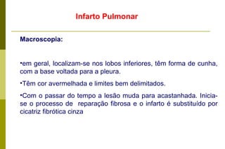 Infarto Pulmonar Macroscopia:   em geral, localizam-se nos lobos inferiores, têm forma de cunha, com a base voltada para a pleura.  Têm cor avermelhada e limites bem delimitados.  Com o passar do tempo a lesão muda para acastanhada. Inicia-se o processo de  reparação fibrosa e o infarto é substituído por cicatriz fibrótica cinza 