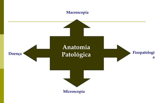 Macroscopia Microscopia Anatomia Patológica Doença Fisopatologia 