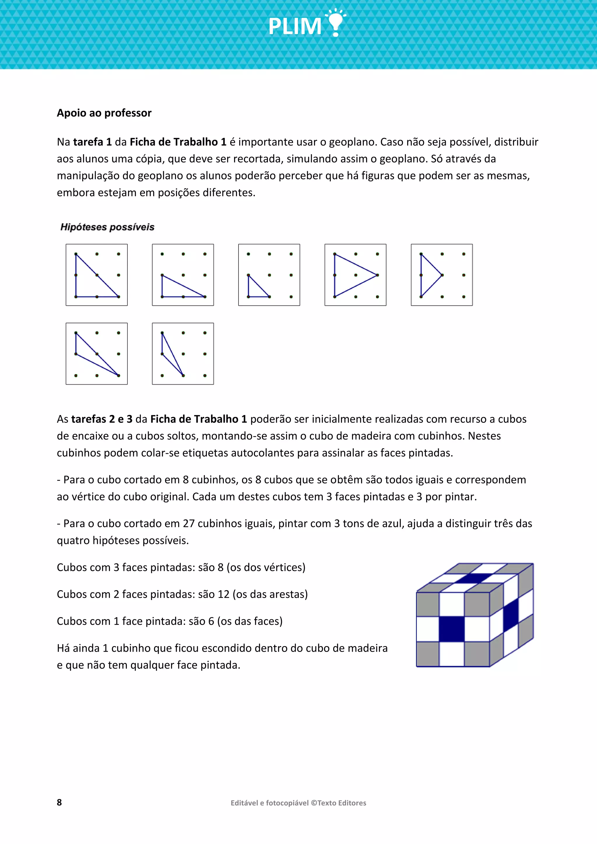 plim-fichas-4ano-pdf