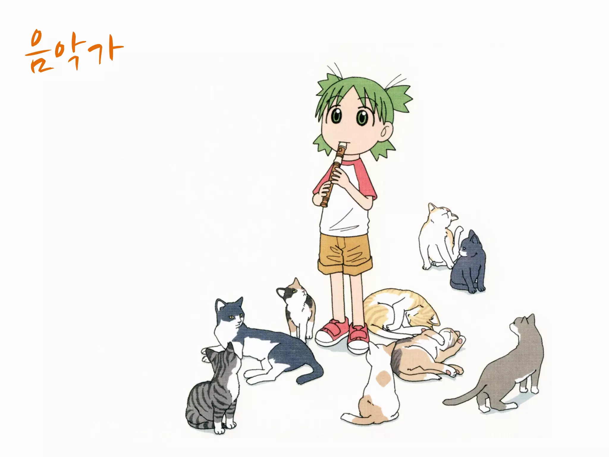 Conceptual Perspective	
 