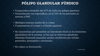 CICLIPA 2006
PÓLIPO GLANDULAR FÚNDICO
• Comprenden alrededor del 47% de todos los polipos gastricos
• Generalmente son esporadicos, en el 53% de los pacientes se
asocian a PAF
• Multiples lesiones sesiles de 2 a 3mm
• Comprometen el cuerpo y el fundus gastrico
• Se caracterizan por presentar un incremento focal en los elementos
glandulares de la mucosa, en los que se observan glandulas
dilatadas formando pequeños quistes recubiertos por celulas
parietales, principales o mucinosas.
• Su origen es desconocido.
 