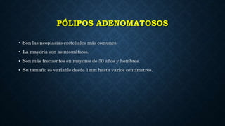 PÓLIPOS ADENOMATOSOS
• Son las neoplasias epiteliales más comunes.
• La mayoría son asintomáticos.
• Son más frecuentes en mayores de 50 años y hombres.
• Su tamaño es variable desde 1mm hasta varios centímetros.
 