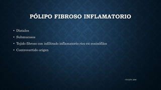 CICLIPA 2006
PÓLIPO FIBROSO INFLAMATORIO
• Distales
• Submucosos
• Tejido fibroso con infiltrado inflamatorio rico en eosinófilos
• Controvertido origen
 
