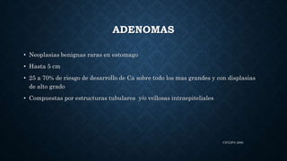 CICLIPA 2006
ADENOMAS
• Neoplasias benignas raras en estomago
• Hasta 5 cm
• 25 a 70% de riesgo de desarrollo de Ca sobre todo los mas grandes y con displasias
de alto grado
• Compuestas por estructuras tubulares y/o vellosas intraepiteliales
 