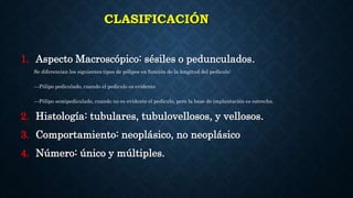 CLASIFICACIÓN
1. Aspecto Macroscópico: sésiles o pedunculados.
Se diferencian los siguientes tipos de pólipos en función de la longitud del pedículo:
—Pólipo pediculado, cuando el pedículo es evidente.
—Pólipo semipediculado, cuando no es evidente el pedículo, pero la base de implantación es estrecha.
2. Histología: tubulares, tubulovellosos, y vellosos.
3. Comportamiento: neoplásico, no neoplásico
4. Número: único y múltiples.
 