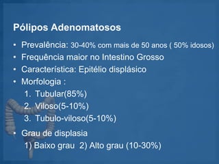 Pólipos Adenomatosos
• Prevalência: 30-40% com mais de 50 anos ( 50% idosos)
• Frequência maior no Intestino Grosso
• Característica: Epitélio displásico
• Morfologia :
1. Tubular(85%)
2. Viloso(5-10%)
3. Tubulo-viloso(5-10%)
• Grau de displasia
1) Baixo grau 2) Alto grau (10-30%)
 