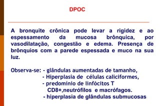 A bronquite crônica pode levar a rigidez e ao espessamento da mucosa brônquica, por vasodilatação, congestão e edema. Presença de brônquios com a parede espessada e muco na sua luz. Observa-se: - glândulas aumentadas de tamanho, - Hiperplasia de  células caliciformes, - predomínio de linfócitos T CD8+,neutrófilos  e macrófagos. - hiperplasia de glândulas submucosas DPOC 