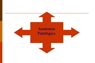 Anatomia Patológica 