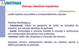 Doença intestinal isquêmica Lesão hipóxica secundária a comprometimento vascular. Padrões Morfológicos - transmural:  infarto ou gangrena de todas as camadas do intestino, por redução absoluta da perfusão. -  mural:  hemorragia e necrose limitada à mucosa e submucosa com preservação dos planos mais profundos.  mucoso:  lesão não ultrapassa a muscular da mucosa.  Isquemia crônica: estreitamento fibrótico do intestino devido à déficit persistente na perfusão. 
