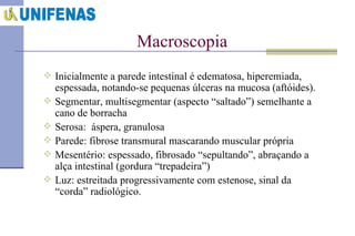 Inicialmente a parede intestinal é edematosa, hiperemiada, espessada, notando-se pequenas úlceras na mucosa (aftóides). Segmentar, multisegmentar (aspecto “saltado”) semelhante a cano de borracha Serosa:  áspera, granulosa Parede: fibrose transmural mascarando muscular própria Mesentério: espessado, fibrosado “sepultando”, abraçando a alça intestinal (gordura “trepadeira”) Luz: estreitada progressivamente com estenose, sinal da “corda” radiológico. Macroscopia 