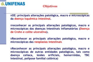 Objetivos OE: principais alterações patológica, macro e microscópicas da  doença isquêmica intestinal . reconhecer as principais alterações patológicas, macro e microscópicas das doenças intestinais inflamatórias ( Doença de Crohn e colite ulcerativa ). Reconhecer as principais alterações patológica, macro e microscópicas das  neoplasias intestinais Reconhecer as principais alterações patológica, macro e microscópicas de outras entidades patológicas, tais como doença celíaca, lesões orificiais, hemorróidas, TBC intestinal, polipose familial colônica)     