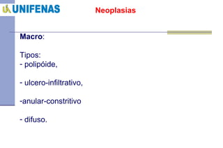 Neoplasias Macro :  Tipos:  polipóide, ulcero-infiltrativo,  anular-constritivo  difuso. 