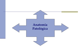 Anatomia Patológica 