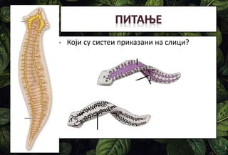 • Који су систеи приказани на слици?
 
