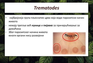 Trematodes
• најбројнија група пљоснатих црва која води паразитски начин
живота
• немају трепље већ кукице и пијавке за причвршћивање за
домаћина
• Због паразитског начина живота
многи органи нису развојени
 